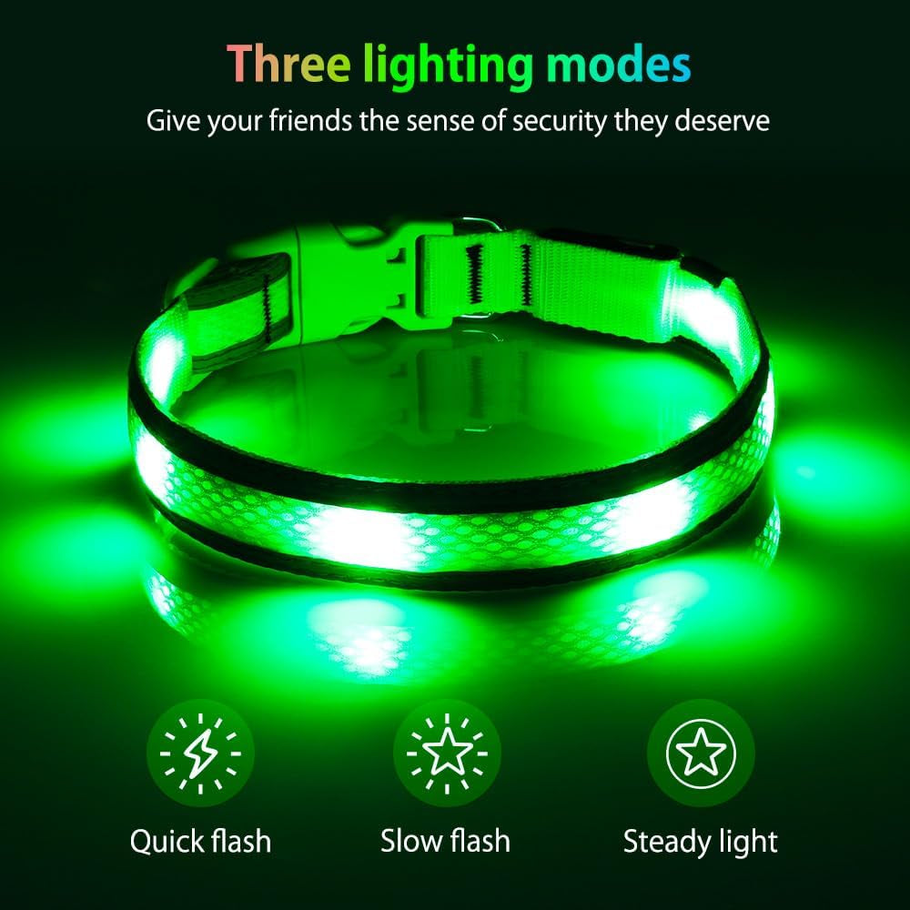 Light up Dog Collar - USB Rechargeable LED Dog Collar Glow in the Dark - High Visibility Glow Collar for Night Walking (Small, Fluorescent Green)