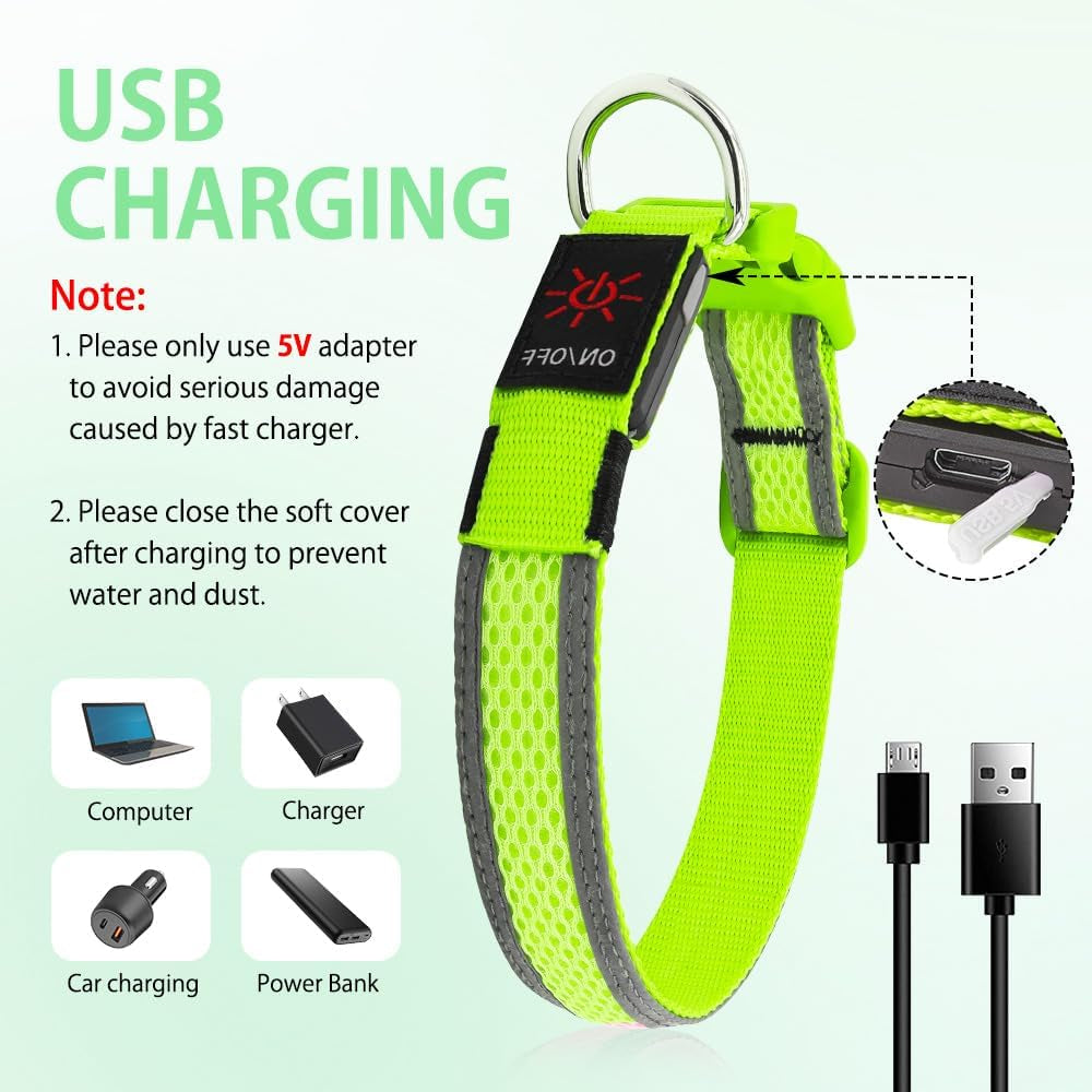 Light up Dog Collar - USB Rechargeable LED Dog Collar Glow in the Dark - High Visibility Glow Collar for Night Walking (Small, Fluorescent Green)