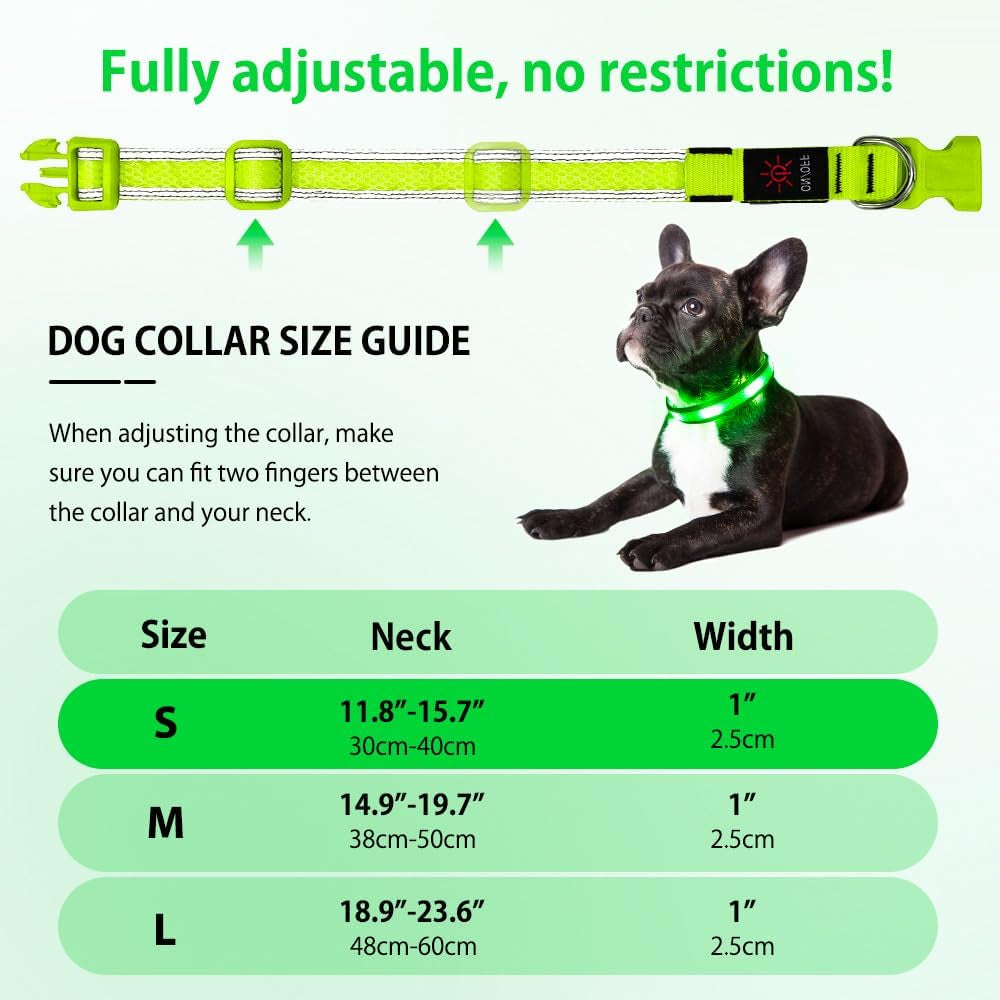 Light up Dog Collar - USB Rechargeable LED Dog Collar Glow in the Dark - High Visibility Glow Collar for Night Walking (Small, Fluorescent Green)