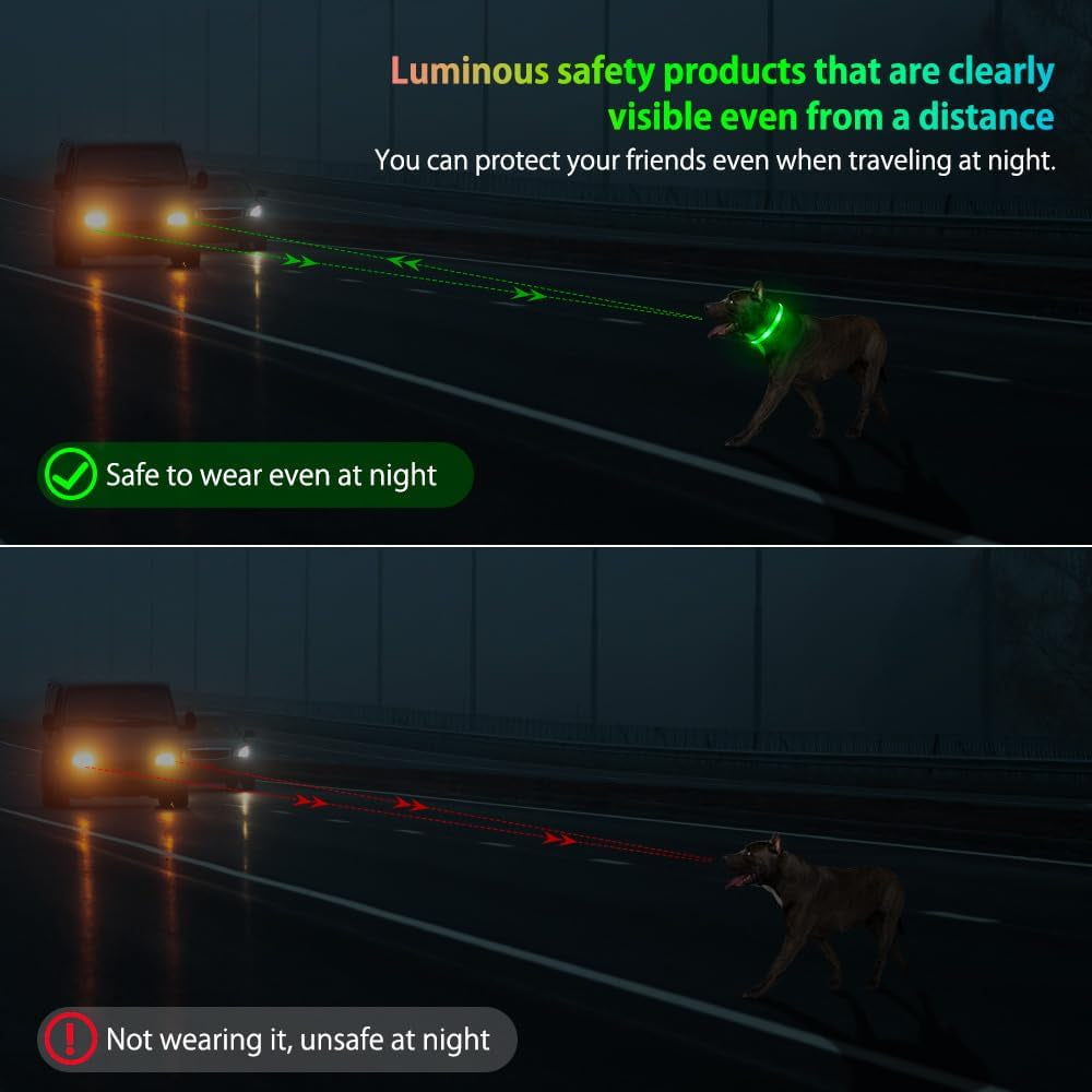 Light up Dog Collar - USB Rechargeable LED Dog Collar Glow in the Dark - High Visibility Glow Collar for Night Walking (Small, Fluorescent Green)